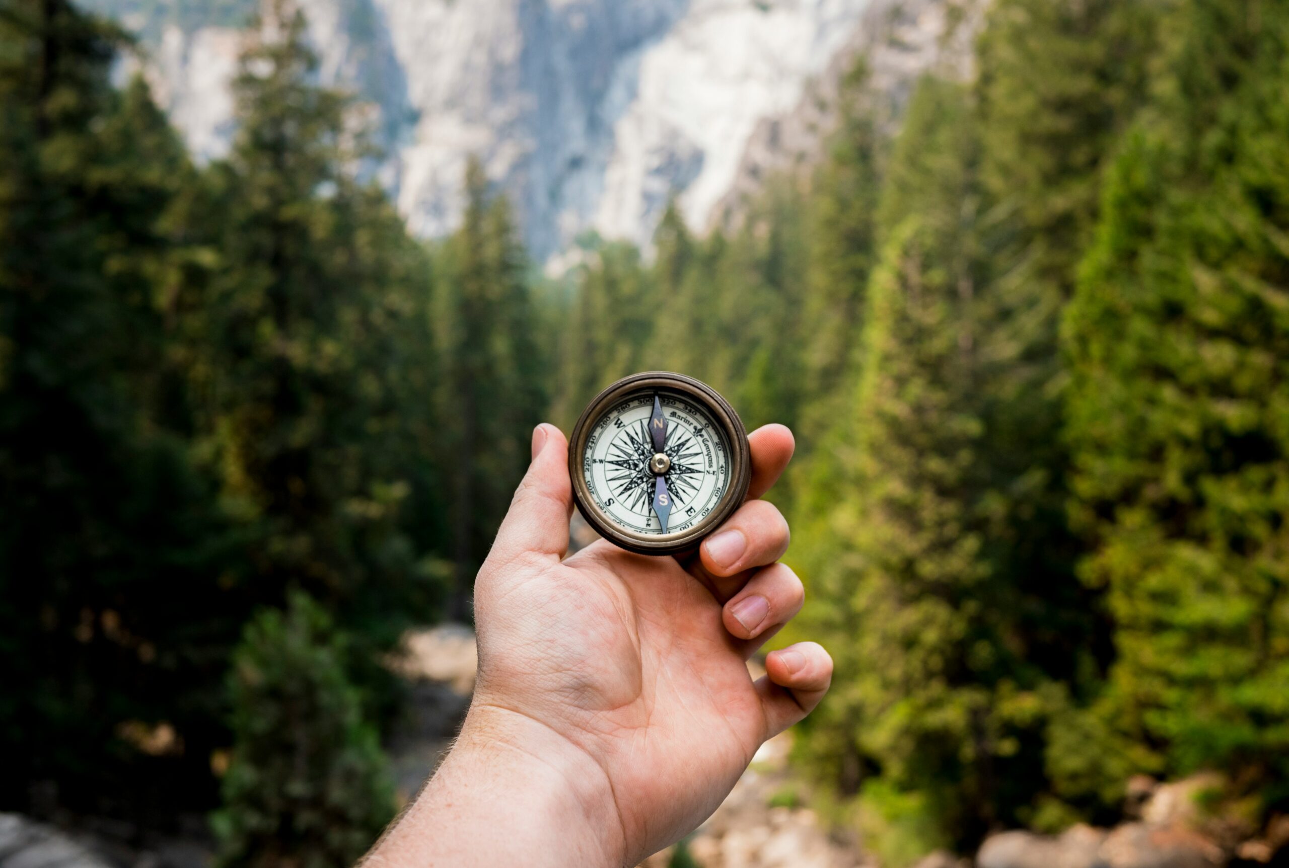 https://www.simonacarnevale.com/wp-content/uploads/2024/11/jamie-street-_94HLr_QXo8-unsplash-scaled.jpg